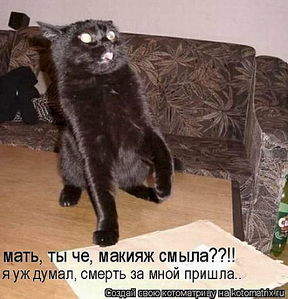 462 X 480 42.8 Kb Улыбнемся?