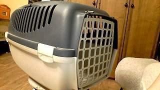 1280 X 720 148.4 Kb   - 