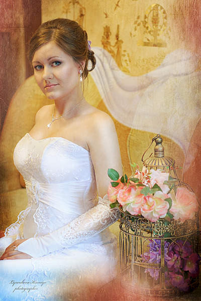 1920 X 2879 461.0 Kb ,   