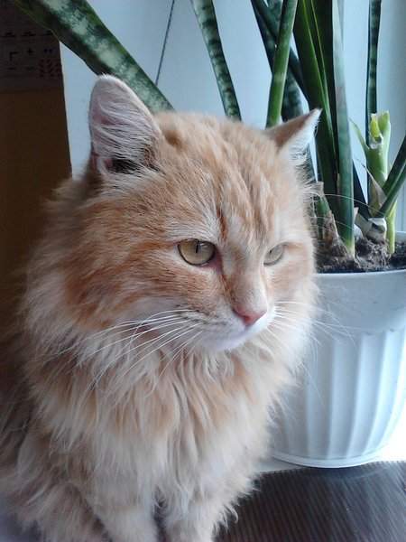 1536 X 2048 433.0 Kb 1536 X 2048 320.8 Kb ,  !