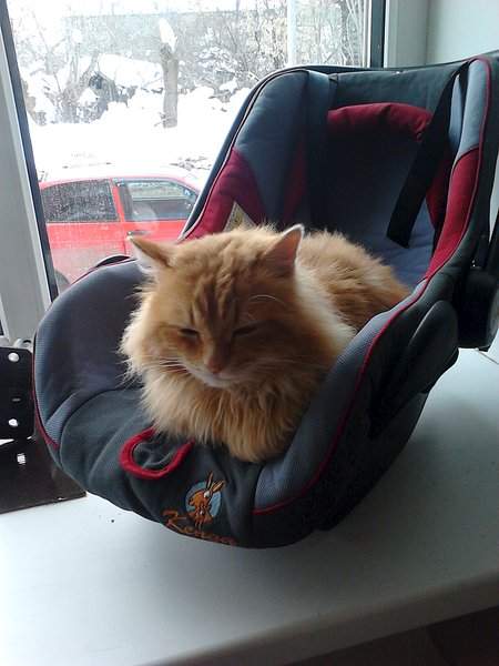 1536 X 2048 443.4 Kb 1536 X 2048 433.0 Kb 1536 X 2048 320.8 Kb ,  !