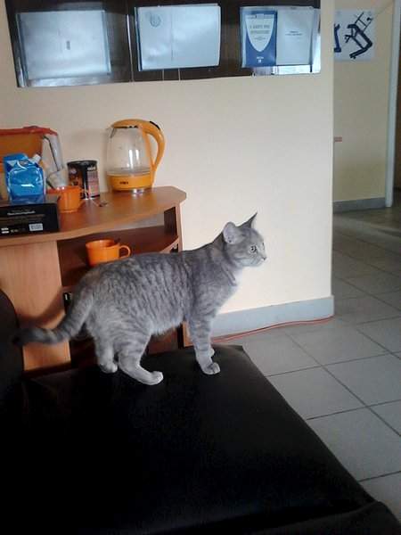 1536 X 2048 276.4 Kb ,  !