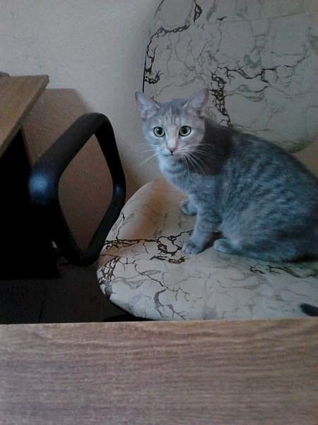 1536 X 2048 390.7 Kb 1536 X 2048 390.8 Kb 1536 X 2048 276.4 Kb ,  !