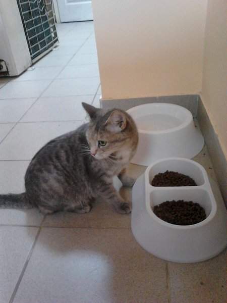 1536 X 2048 277.5 Kb ,  !