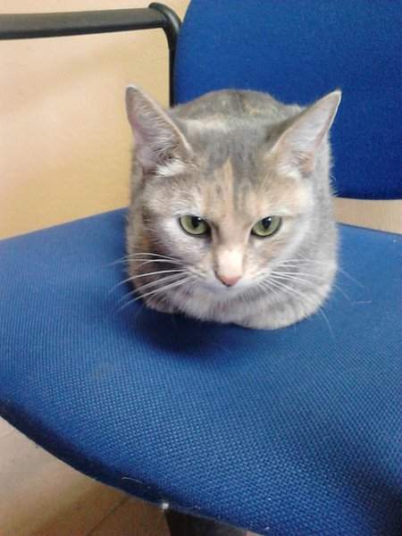 1536 X 2048 397.5 Kb 1536 X 2048 281.1 Kb 1536 X 2048 277.5 Kb ,  !