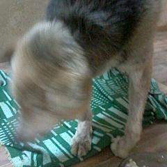 480 X 480  26.1 Kb  31.01.2015.   ( ), ,  