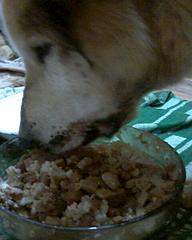 480 X 600  28.9 Kb  31.01.2015.   ( ), ,  