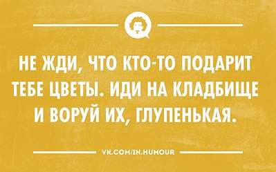 1275 X 795  82.7 Kb Цветы на Коммунаров 285 (перекресток КоммунаровхЛихвинцева), около Вечного огня