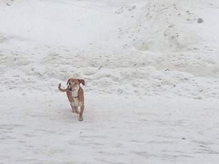 1920 X 1440 330.4 Kb  