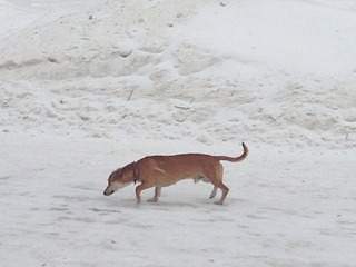 1920 X 1440 339.0 Kb 1920 X 1440 330.4 Kb  