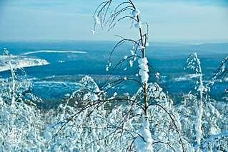 1280 X 853 236.6 Kb 1280 X 853 186.7 Kb 1280 X 853 155.3 Kb  2014-2015  !