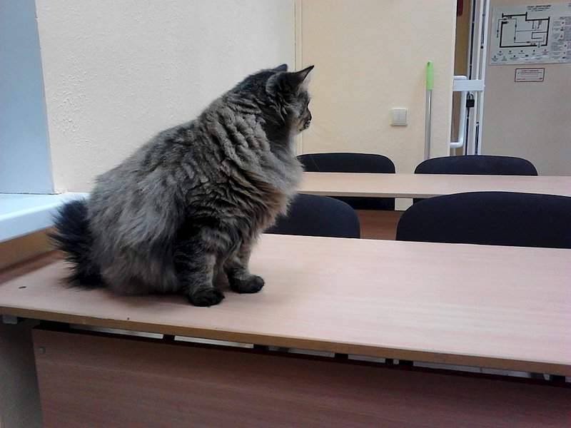 1920 X 1440 288.4 Kb 1920 X 1440 324.4 Kb ,  !