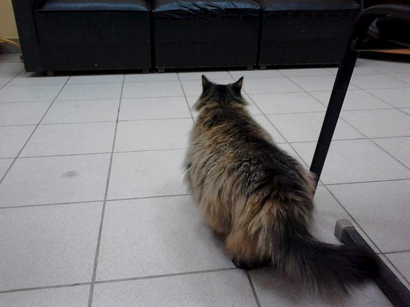 1920 X 1440 281.5 Kb ,  !