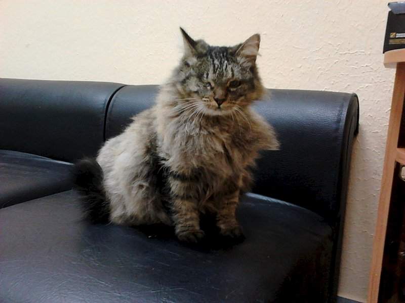 1920 X 1440 286.8 Kb 1920 X 1440 281.5 Kb ,  !