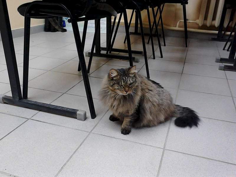 1920 X 1440 356.6 Kb 1920 X 1440 286.8 Kb 1920 X 1440 281.5 Kb ,  !