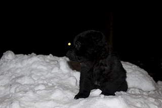 1920 X 1280 278.2 Kb  