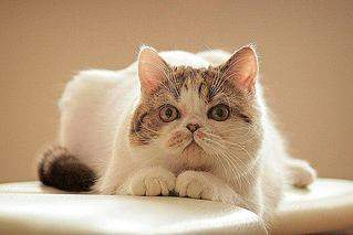 604 X 403 34.3 Kb  ! ! - ALFREDO