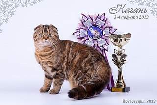 600 X 400 61.3 Kb 604 X 403 34.3 Kb  ! ! - ALFREDO