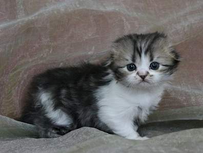 1920 X 1452 167.8 Kb 1920 X 1459 173.2 Kb  ! ! - ALFREDO