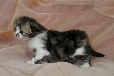 1920 X 1284 143.8 Kb 1920 X 1452 167.8 Kb 1920 X 1459 173.2 Kb  ! ! - ALFREDO