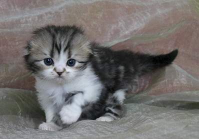 1920 X 1339 151.6 Kb 1920 X 1284 143.8 Kb 1920 X 1452 167.8 Kb 1920 X 1459 173.2 Kb  ! ! - ALFREDO