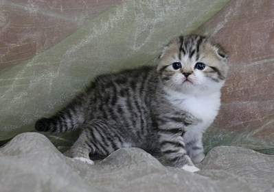 1920 X 1349 174.8 Kb  ! ! - ALFREDO