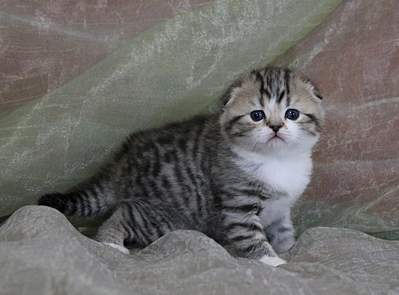 1920 X 1418 182.1 Kb 1920 X 1349 174.8 Kb  ! ! - ALFREDO