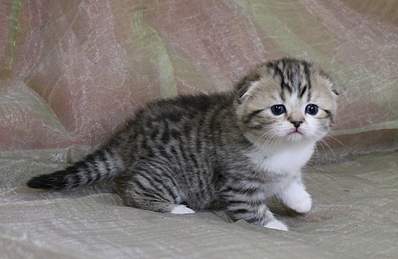 1920 X 1246 167.0 Kb 1920 X 1418 182.1 Kb 1920 X 1349 174.8 Kb  ! ! - ALFREDO