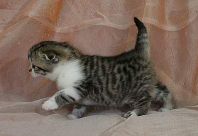 1920 X 1317 150.5 Kb 1920 X 1246 167.0 Kb 1920 X 1418 182.1 Kb 1920 X 1349 174.8 Kb  ! ! - ALFREDO