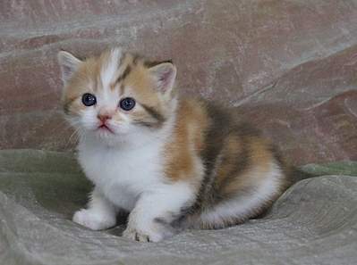 1920 X 1428 175.2 Kb 1920 X 1388 164.2 Kb  ! ! - ALFREDO