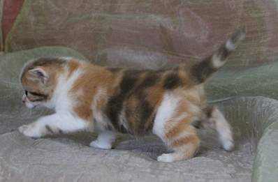 1920 X 1257 994.9 Kb 1920 X 1428 175.2 Kb 1920 X 1388 164.2 Kb  ! ! - ALFREDO