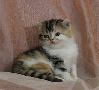 1920 X 1741 237.4 Kb 1920 X 2053 229.2 Kb  ! ! - ALFREDO