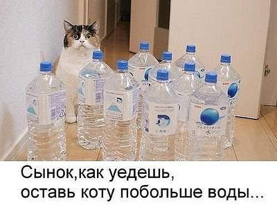 640 X 480 77.1 Kb Улыбнемся?