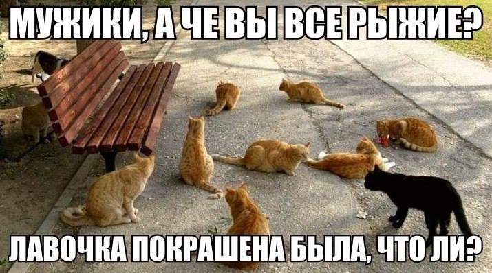 715 x 398 Улыбнемся?