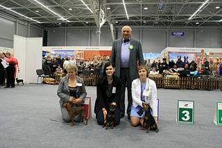 1920 X 1279 268.9 Kb Интернациональная выставка собак Пермь 31 января - 1 февраля 2015 г. 'Огни Прикамья-2