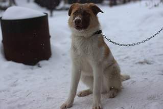 604 X 403  31.2 Kb    - 