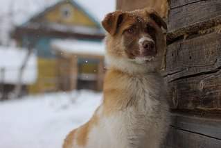 604 X 403  37.8 Kb    - 