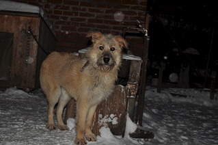 1920 X 1275 482.9 Kb    - 