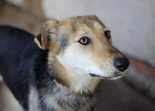 604 X 433 35.0 Kb    - 