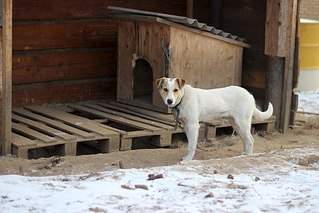 604 X 403  51.4 Kb    - 