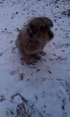 1920 X 3210 704.0 Kb    - 