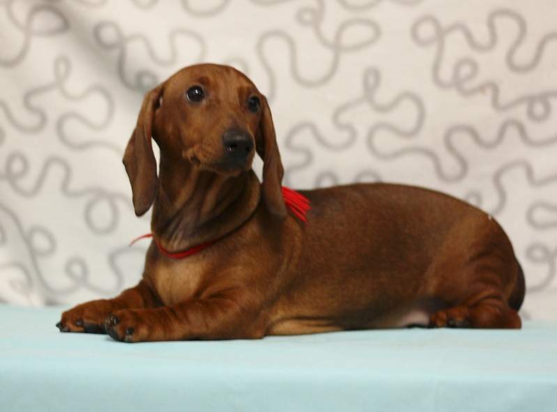 1920 X 1419 860.6 Kb     