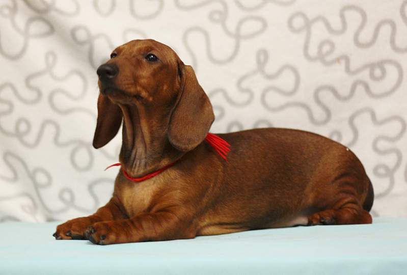 1920 X 1297 827.1 Kb 1920 X 1419 860.6 Kb     