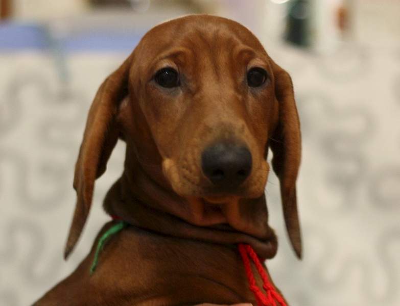 1920 X 1471 960.0 Kb 1920 X 1297 827.1 Kb 1920 X 1419 860.6 Kb     