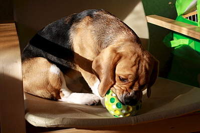 1920 X 1280 541.3 Kb   8- .   .