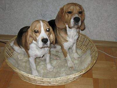 1200 X 900 148.6 Kb   8- .   .