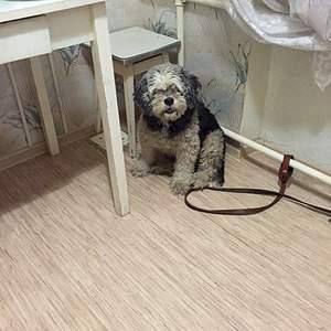 480 X 480  52.2 Kb 480 X 480  52.4 Kb    