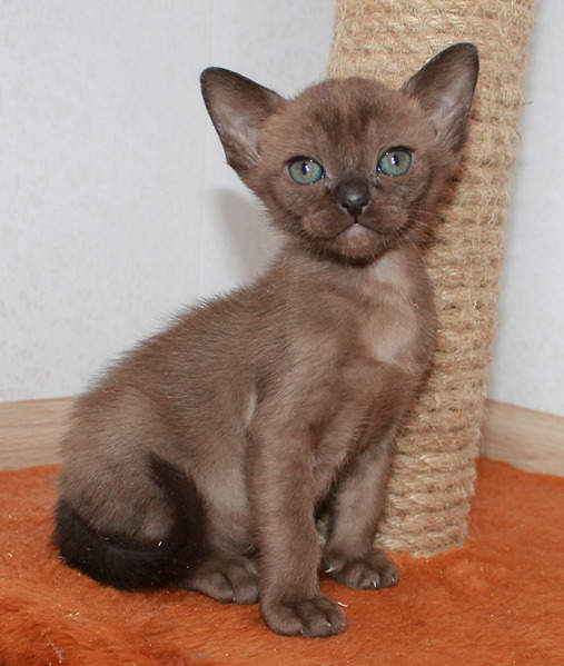 1576 X 1862 511.2 Kb 1920 X 1462 633.3 Kb 1517 X 1395 425.2 Kb 1282 X 855 264.9 Kb    -.