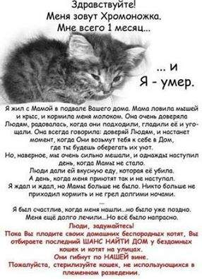 286 x 395 drg - не хакер! Размноженцы: как бороться. Цели и задачи. Поговорим? :)