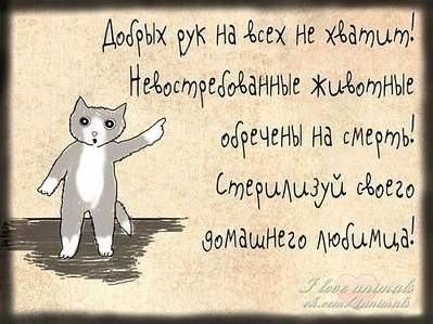 707 X 530  94.4 Kb 707 X 608  92.9 Kb 707 X 670 106.0 Kb 707 X 696 116.4 Kb 607 X 631  91.6 Kb drg - не хакер! Размноженцы: как бороться. Цели и задачи. Поговорим? :)